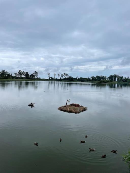 Moradia Alegre No Centro Da Vila Da Tocha. Bagian luar foto