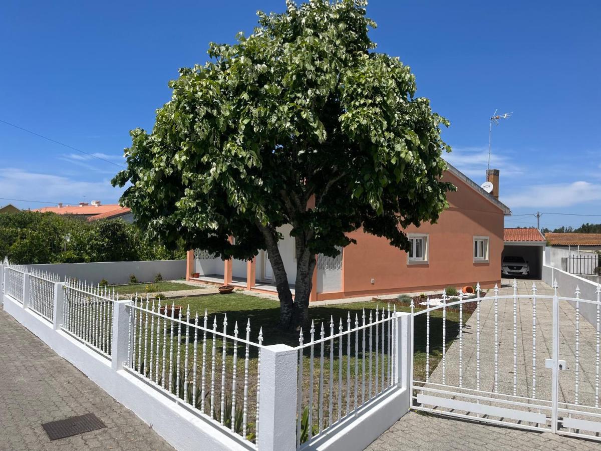 Moradia Alegre No Centro Da Vila Da Tocha. Bagian luar foto